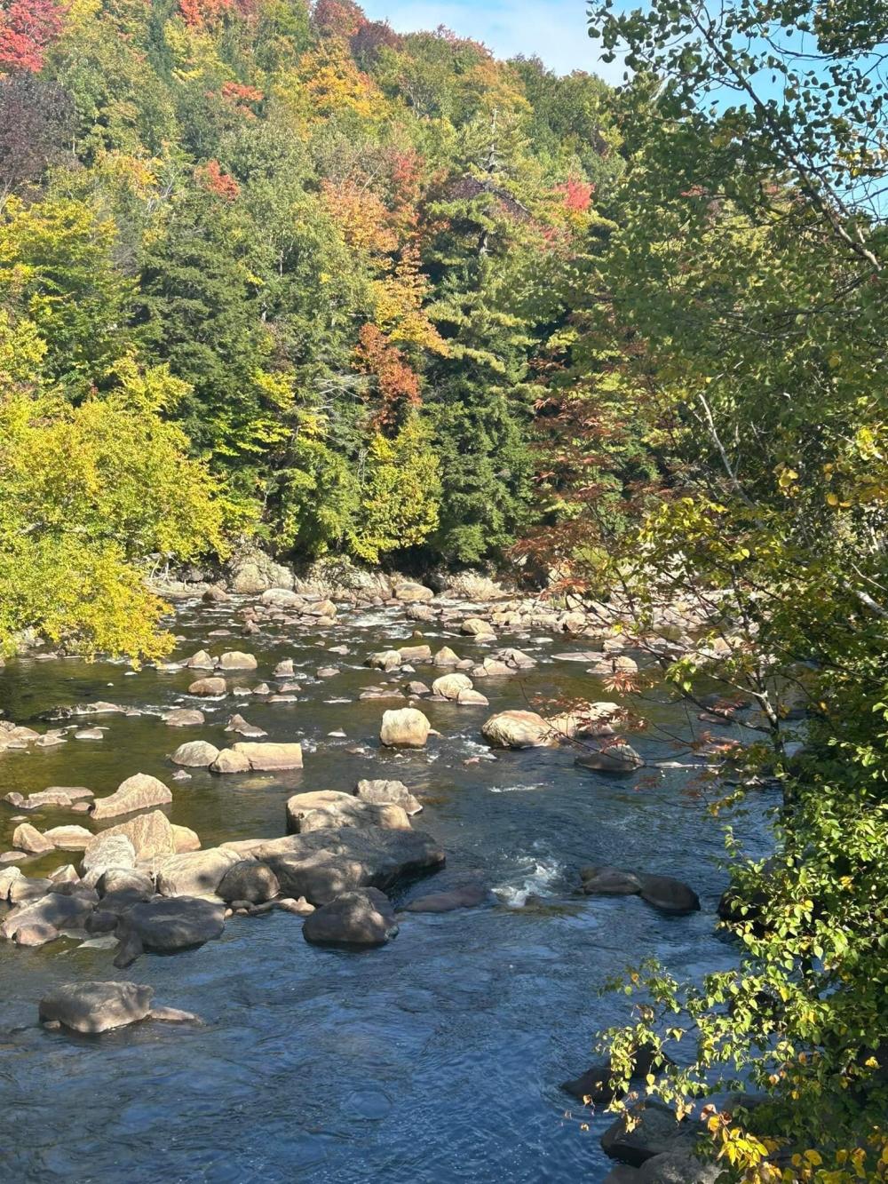 A trout stream in the Lake Placid region during peak fall foliage