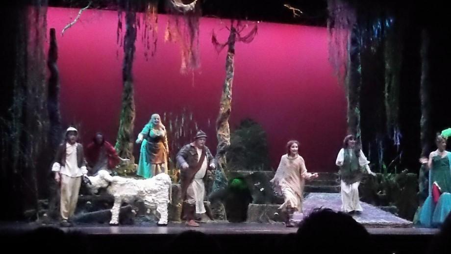 Into the Woods Set