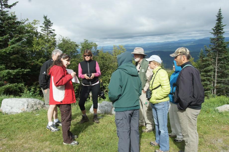 Kendra discusses the habitat and migration route of Bicknell's thrush, a target species for many birders on Whiteface. Kendra explaining Bicknell's