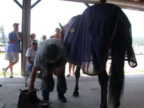 Horse Show Farrier