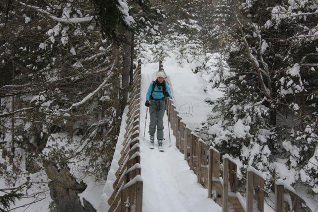 A guided backcountry ski tour with High Peaks Mountain Guides may take you to The John's Brook Valley shown in this picture