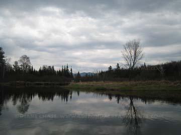 mountain view on Saranac River