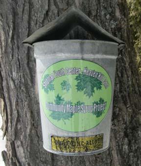 Maple buckets Maple buckets