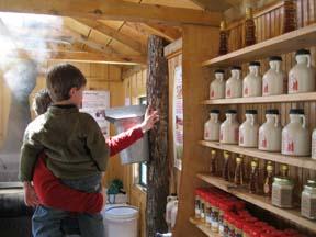 Adirondack Sugar Shack