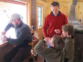 Tasting maple Tasting maple