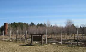 Lake Placid Community Garden