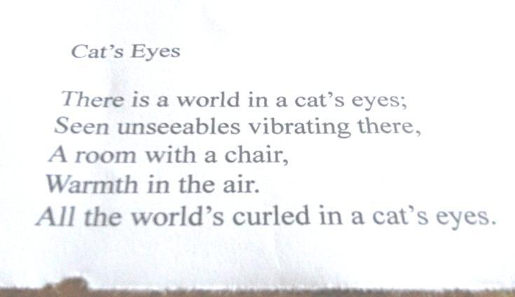 Cat's Eyes by Sandra Lovell