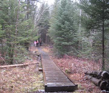 Boardwalk at Adirondack Loj