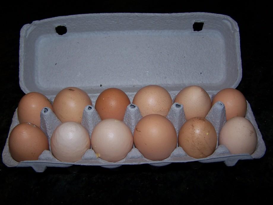 Giant eggs