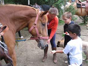 horsetrail eating apple