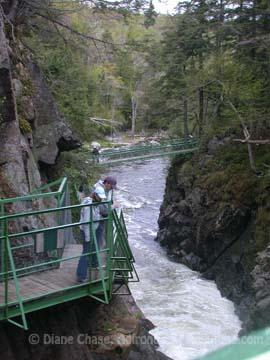 HIgh Falls Forge walkways