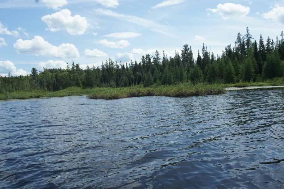 Much of the shoreline of Jones Pond is bordered by state land, making it a great place to explore. Jones Pond