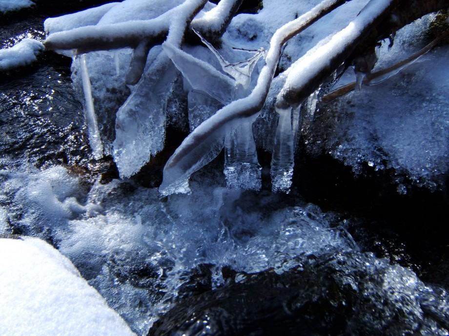 Ice formations in the brook