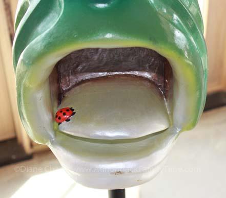 Look for the ladybug hidden in each carousel animal Adirondack Carousel fish