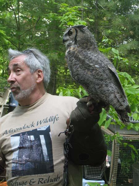 Wildlife Refuge owl