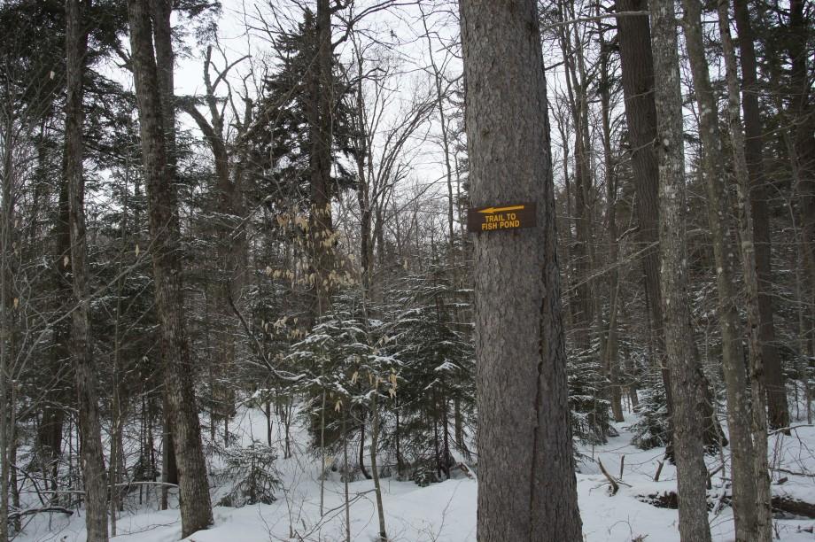 Fish Pond Sign