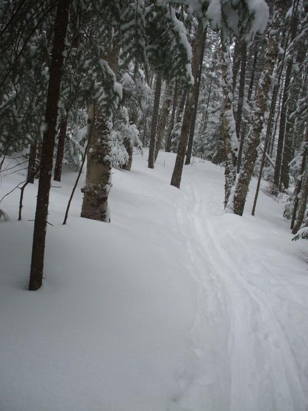 Along the trail