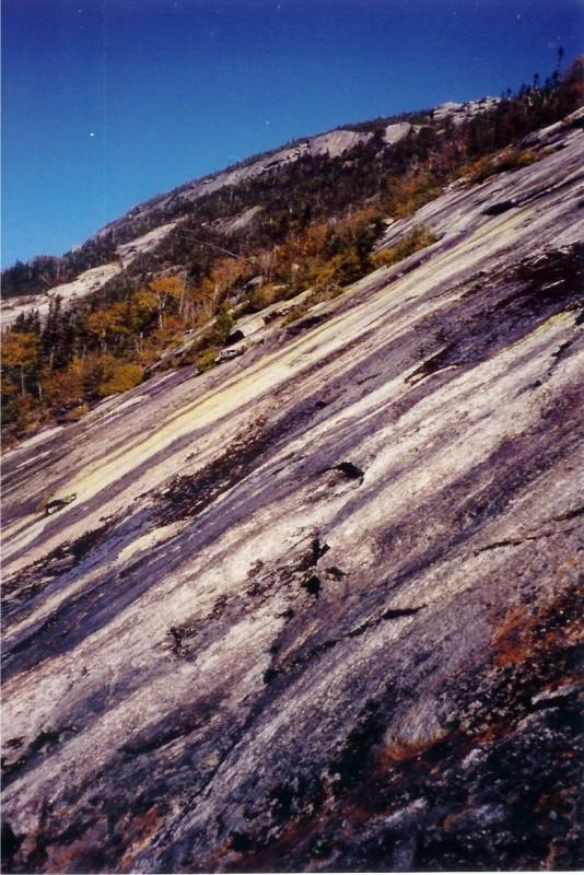 Eagle Slide on Giant