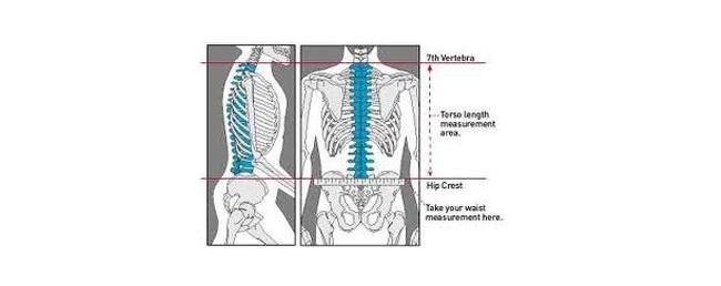 Measuring you torso