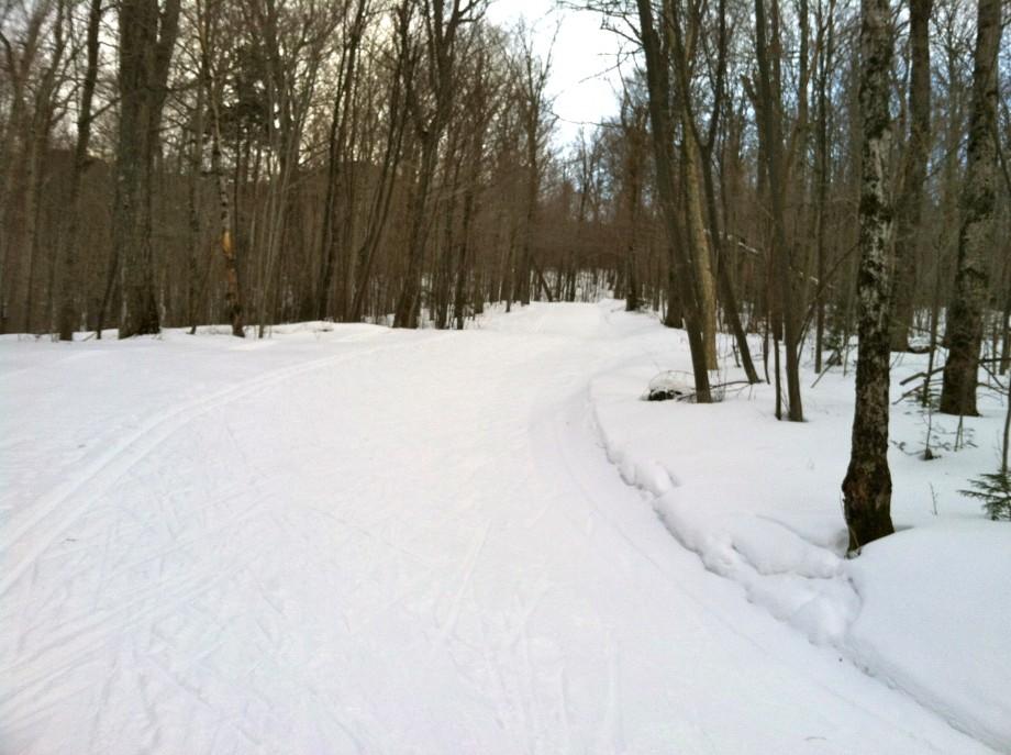 A very common sight on the Porter Mountain Loops, climbing