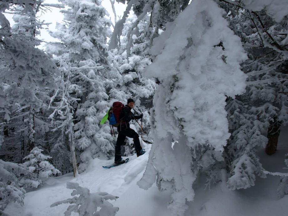 Snowshoeing