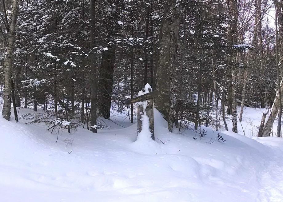 Trail sign on the Algonquin Trail side