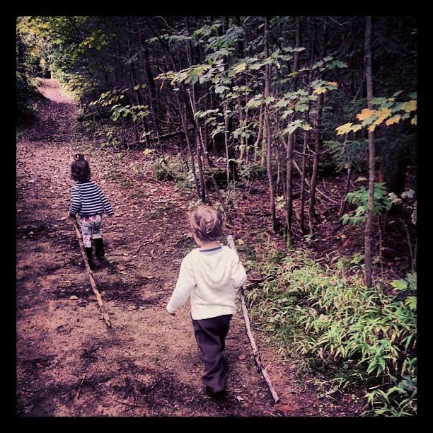 The twins hiking in Henrys Woods Hiking toddlers