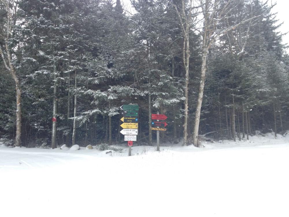 Thank goodness for Trail Markers! Thank goodness for Trail Markers!