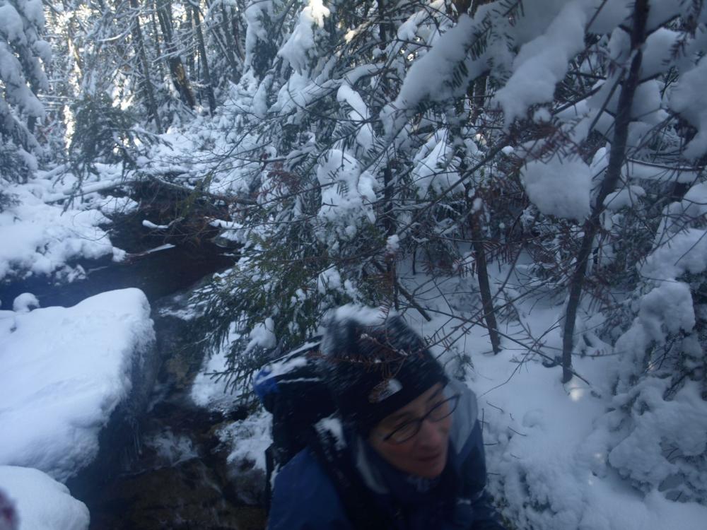 Nancy in route up Phelps Brook Nancy in route up Phelps Brook