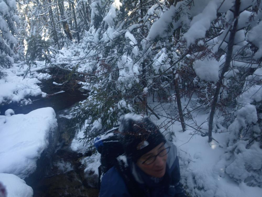 Nancy in route up Phelps Brook