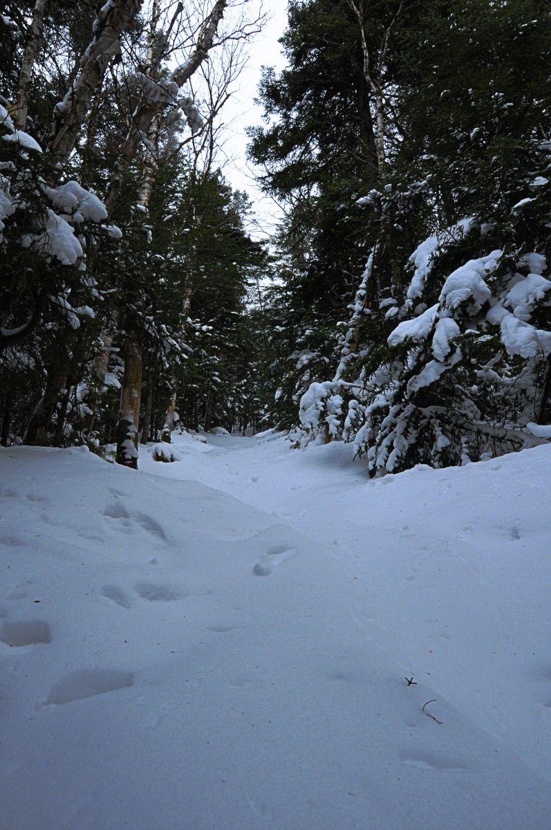 Unbroken trail ascending Adams