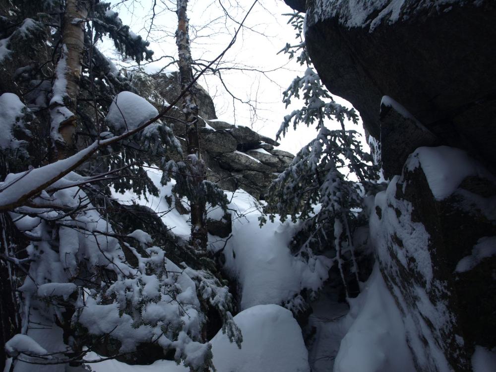 The trees kept closing in on us The trees kept closing in on us