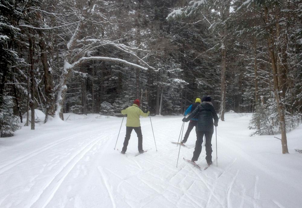 Beginner class in skate skiing