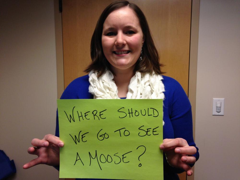 Moose, a moose, we want to see a moose!
