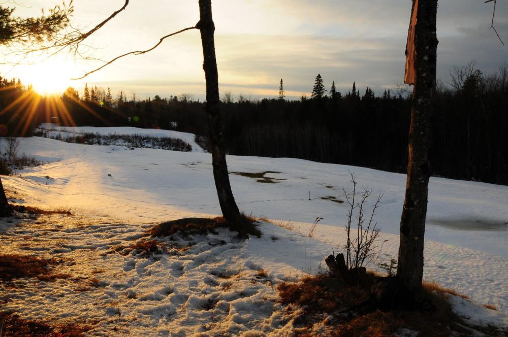 Cross-country skiing on the Golf Course.