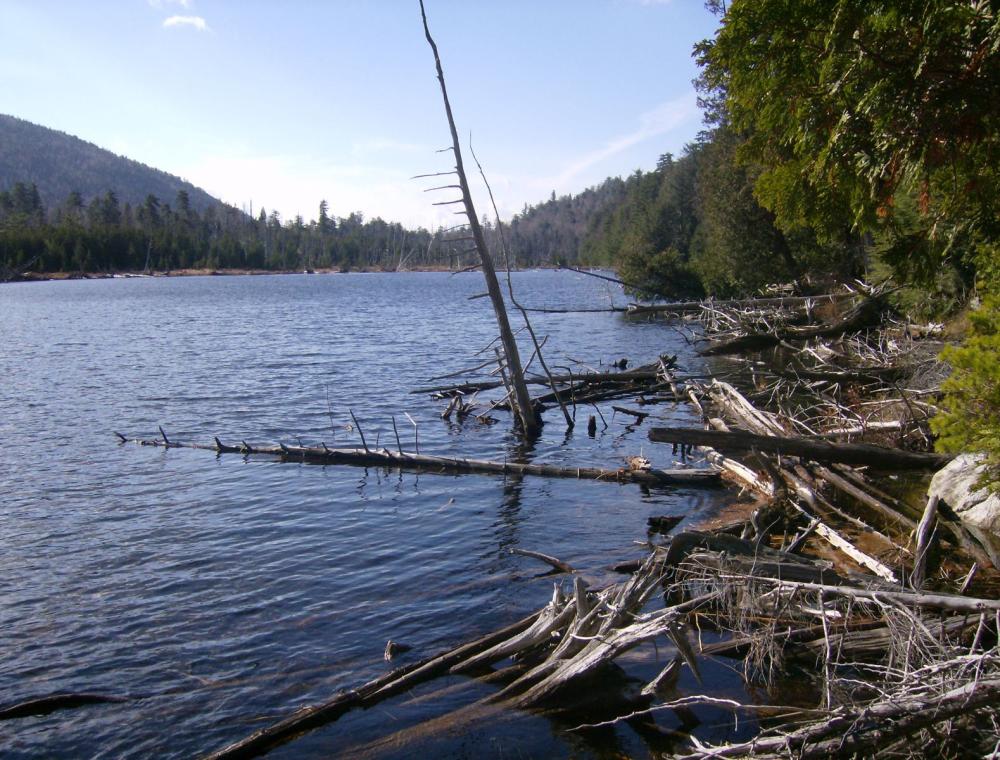 Winch Pond