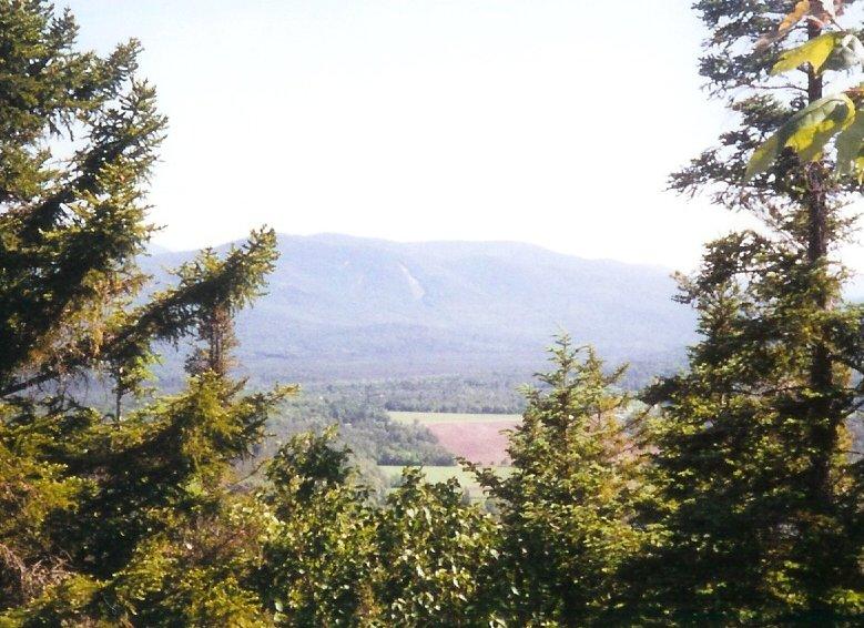 One of the views from Seymour