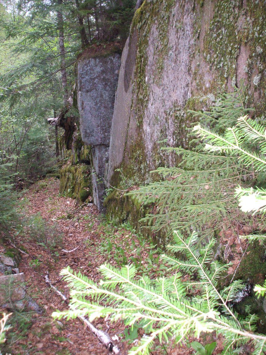 Along the trail