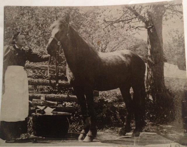 Anna with one of her prized horses Anna with one of her prized horses