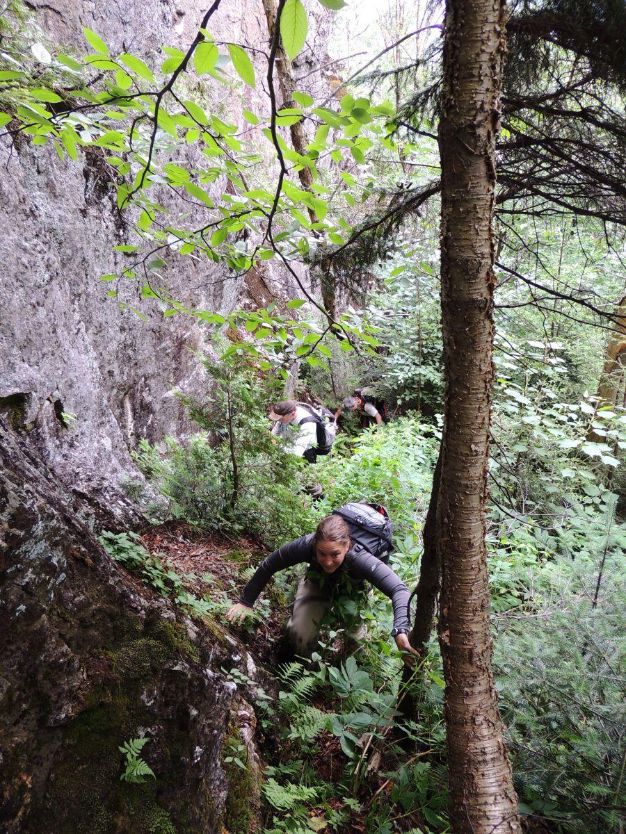 A the steep slopes near the cliffs A the steep slopes near the cliffs