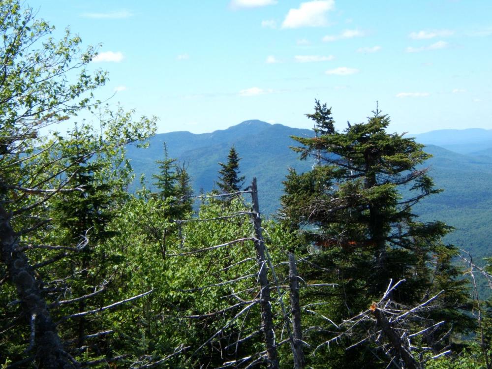 View from near summit