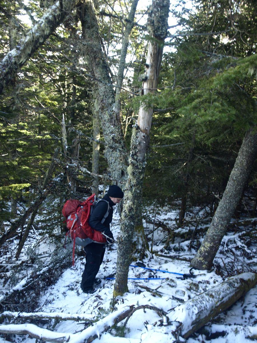 A bit thicker at 3,500 feet and a bit more snow, too A bit thicker at 3,500 feet and a bit more snow, too