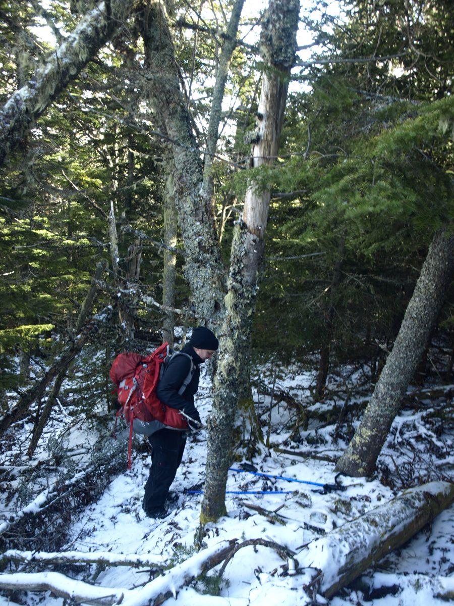 A bit thicker at 3,500 feet and a bit more snow, too