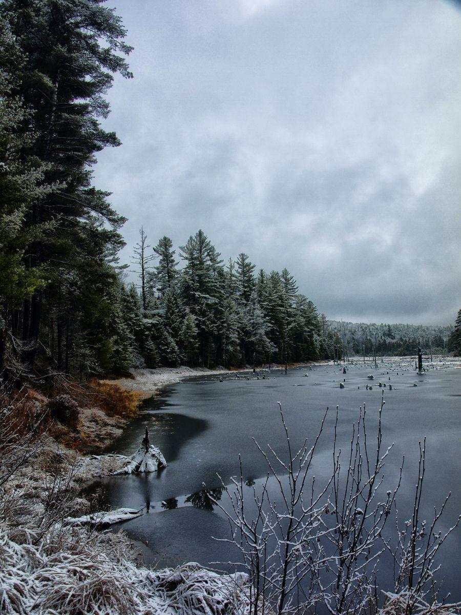 The seldom visited beaver pond The seldom visited beaver pond