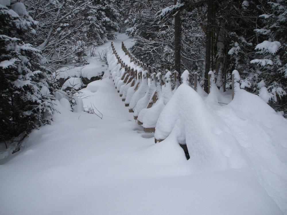 The suspension bridge near Johns Brook Lodge covered in snow