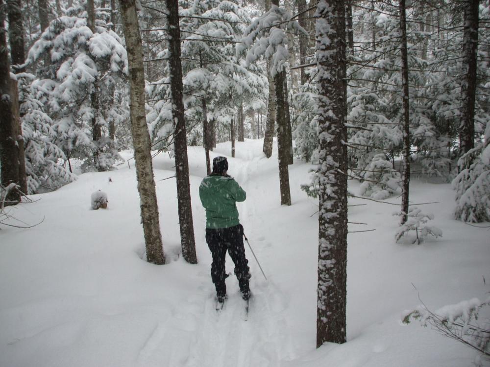 A cross-country skier on the Peninsula Trails covered in snow