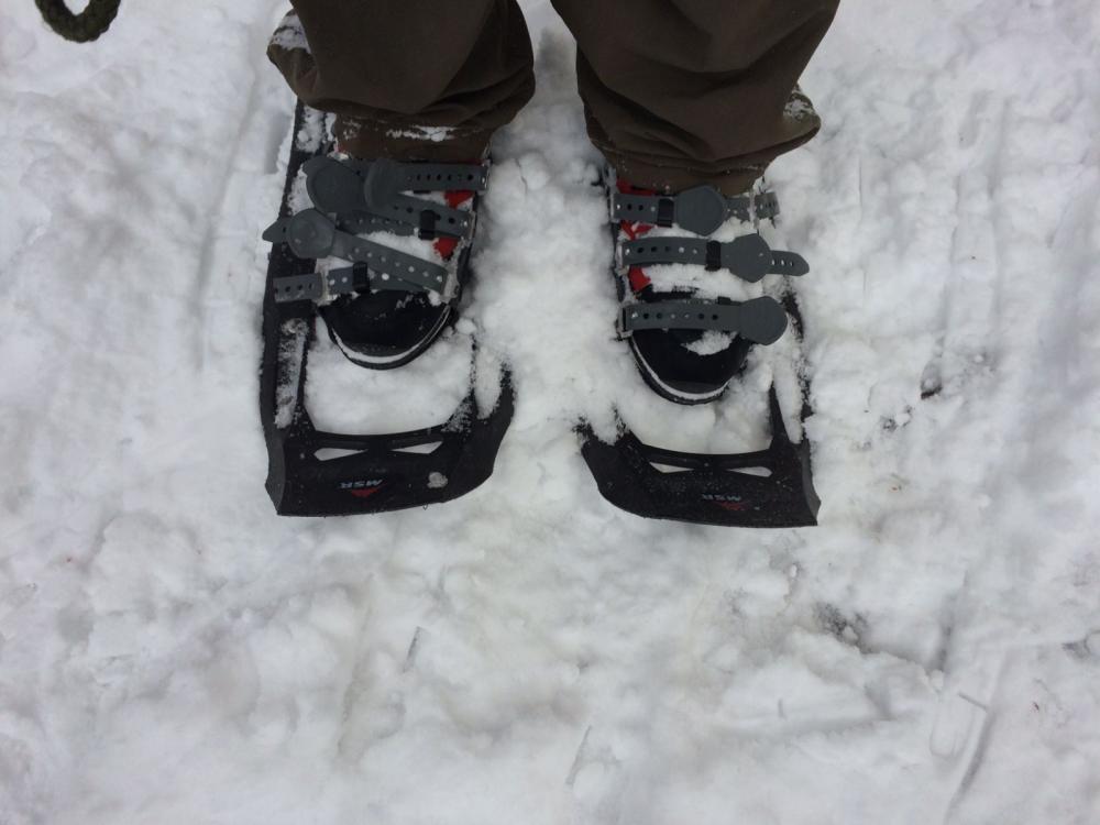 A pair of snowshoes always helps, rent a pair in town if needed.