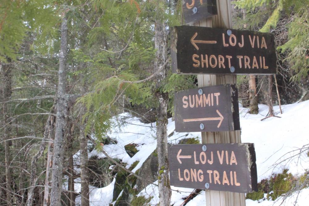 Signs for hiking trails in upstate NY with pine trees and snow in the background