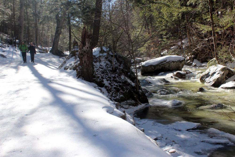 Lake Road maintains a steady grade as it climbs toward Lower Ausable Lake.