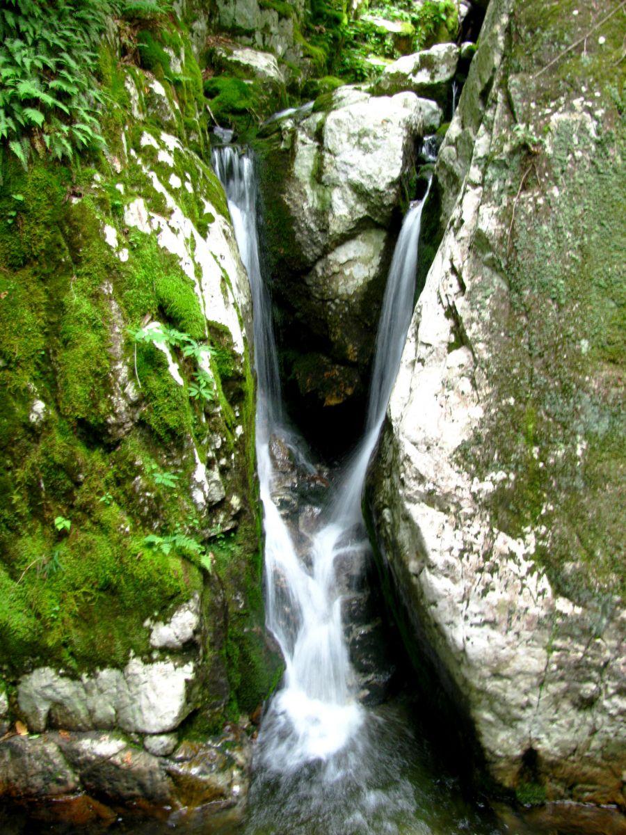 The Flume has a tropical feel in the summer. The Flume has a tropical feel in the summer.